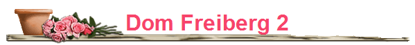 Dom Freiberg 2