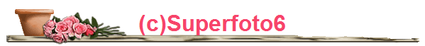 (c)Superfoto6