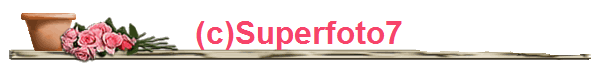 (c)Superfoto7