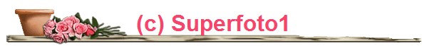 (c) Superfoto1