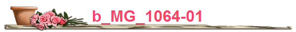b_MG_1064-01