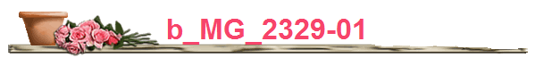 b_MG_2329-01